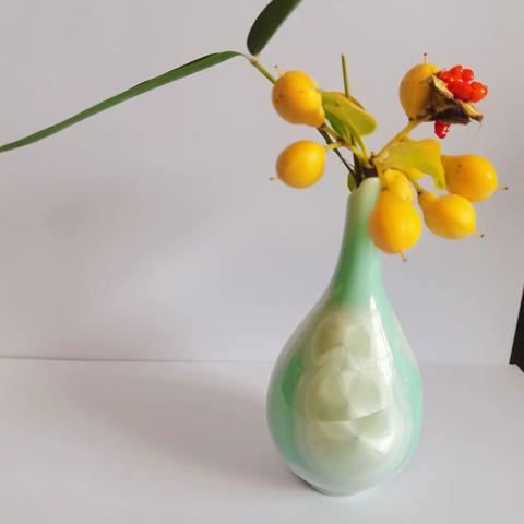 一花一世界，自顾沉静，记人民路小学一三班孩子插花艺术活动成果（2022.11.9）