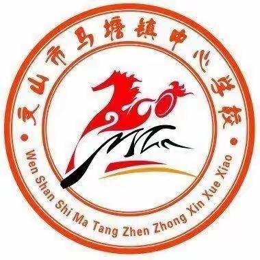 加强校际交流，激发远大理想——马塘镇中心学校外出交流学习活动