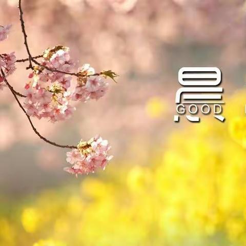 朗朗书声满校园 阵阵书香溢心田