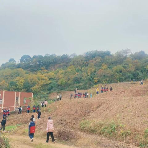 来西中，请你登高，撸串，包饺子——周末活动纪实！