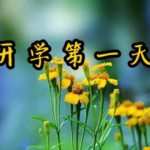 开启梦想 高歌远航——开学第一天活动报导海州中心校新东小学