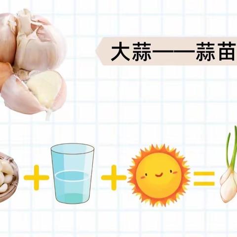 【云相约 动起来】师幼线上互动——种大蒜