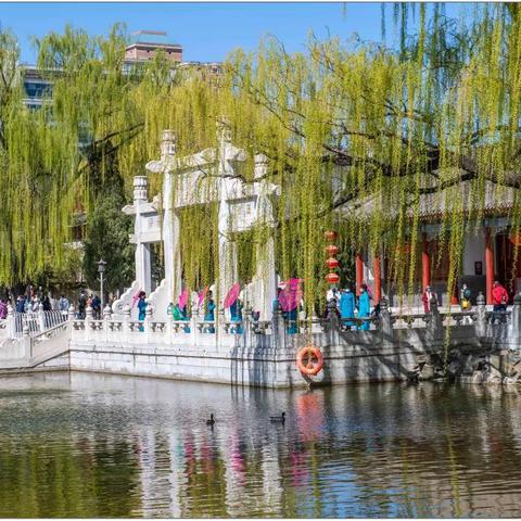 相思血泪抛红豆，春柳春花满画楼