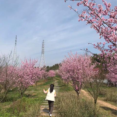 2019.3.10练江牧场游记