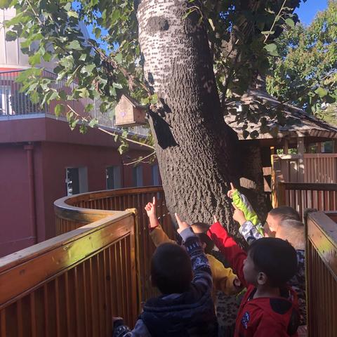 主题活动《幼儿园🏠里的🐿️》