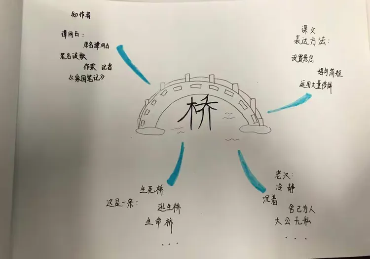 《桥》思维导图💖