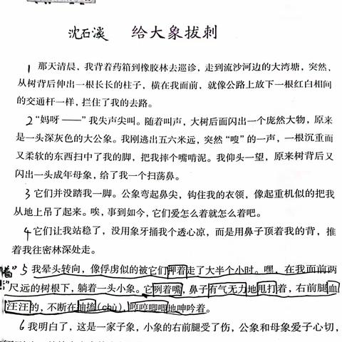 【蜗牛中队】我们一起读《大象拔刺》和《军犬黑子的尊严》