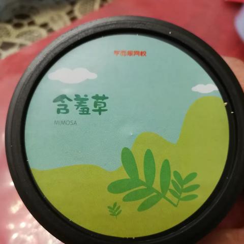 小小植树节，让我在家也行动起来吧！