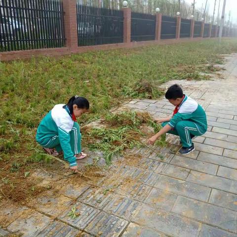 劳动光荣——为学校花园出杂草