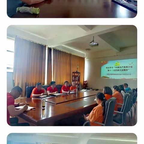 传达学习中国共产党四川省第十二次代表大会精神