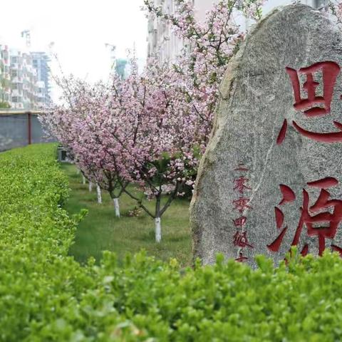 泰安第十九中学2017级高三级部“五一节” 致学生家长的一封信