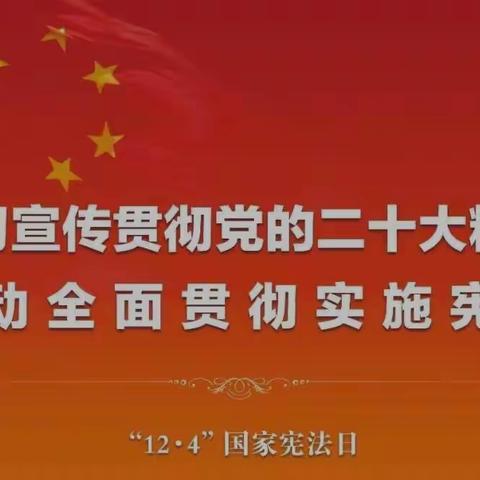 学习宣传贯彻党的二十大精神 推动全面贯彻实施宪法