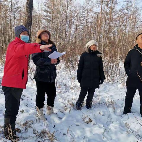 大兴安岭林业集团公司生态修复处林木种苗管理站工作组深入阿木尔林业局开展林木种苗检查指导工作