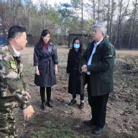 中国林科院教授许洋深入阿木尔局调研指导轻基质育苗工作