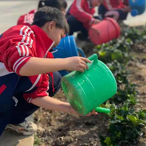爱心劳动，绿化校园——暨襄阳市荆州街小学教育集团河心校区植树节活动