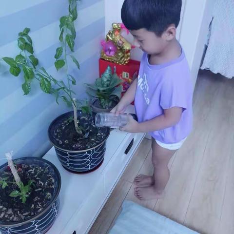 福顺镇幼儿园可爱小二班