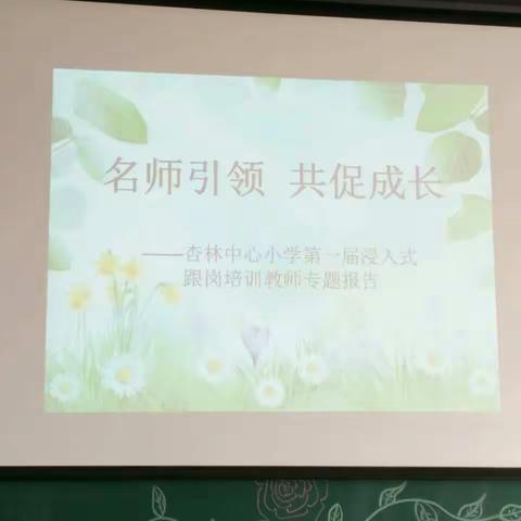 名师引领 共促成长 ————杏林中心小学第一届浸入式跟岗培训参训教师专题报告