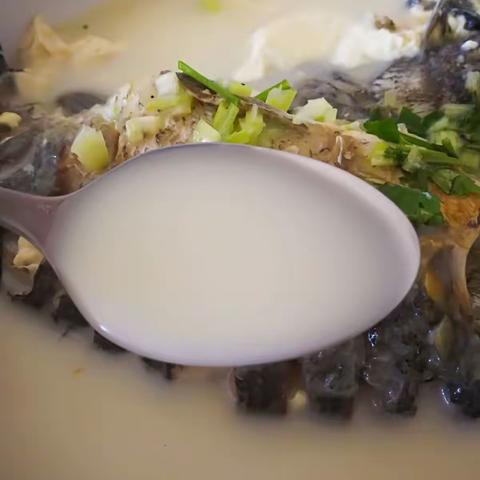 奶白鲫鱼豆腐汤