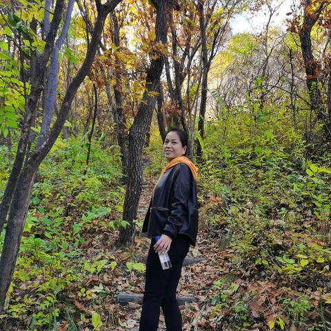 偷得浮生半日游