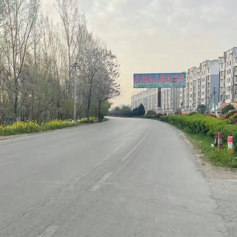 沱滨街道：筑牢疫情防线 锤炼干部作风