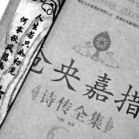 梦中期待的白莲