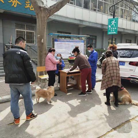 秦陵街办标缝社区开展狂犬疫苗免费注射活动