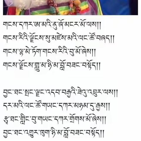 རྩ་ཐང་གི་མེ་ཏོག