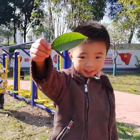 爱上幼儿园，快乐初体验🌈—中南伟才幼儿园