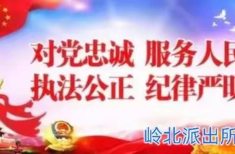 维护辖区和谐稳定，岭北派出所在行动。