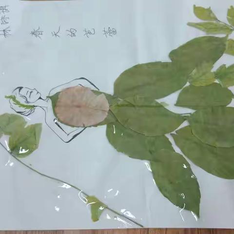 五年级七班树叶粘贴画