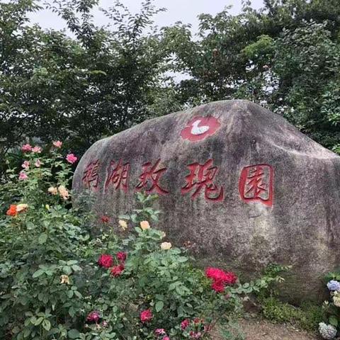 鹅湖之约