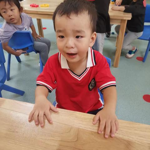 爱上幼儿园—洛阳铁路实验幼儿园新小二班宝贝成长记