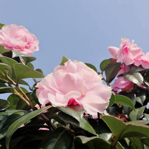 2018.2.1—3美丽的柳州沿途景点