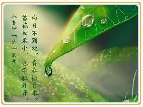 “苔花如米小，也学牡丹开” —龙角联小二年级读书节活动