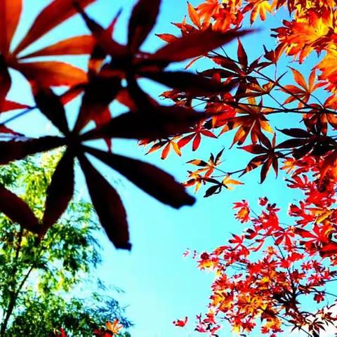 旧州品旧，岁月静好