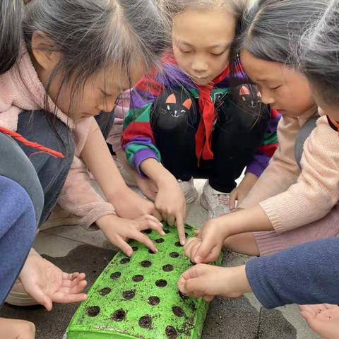 春风花草香三月，又是一年植绿时——记潍坊高新区（上海）新纪元学校“爱绿护绿”活动