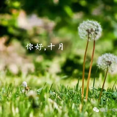 书香苑大一班9月总结篇