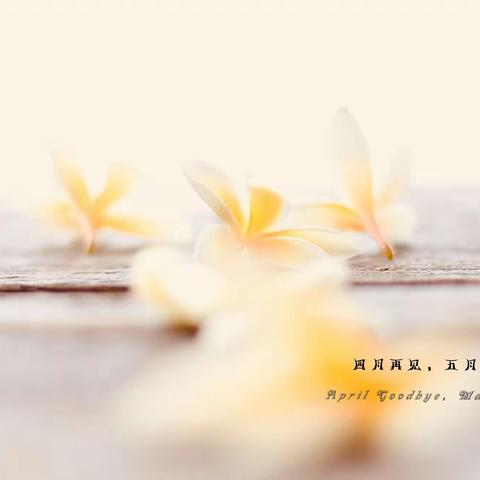 （四月再见，五月你好💕💕）--大1⃣班4⃣月总结篇