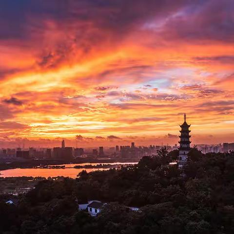 仲夏苦夜短，开轩纳微凉