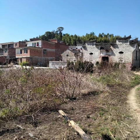 36、岚障青纱罗绶带，溪横古色插金簪——岚溪古村诗