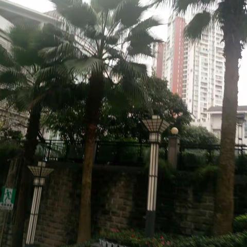 土左二中“学本教学”跟岗学习重庆之行