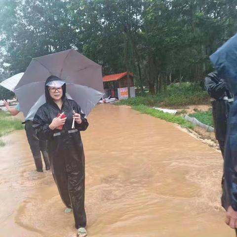 强降雨、强防控、强落实；下径村在行动