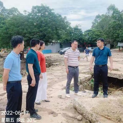 湖镇在行动、实地查看抗洪救灾一线