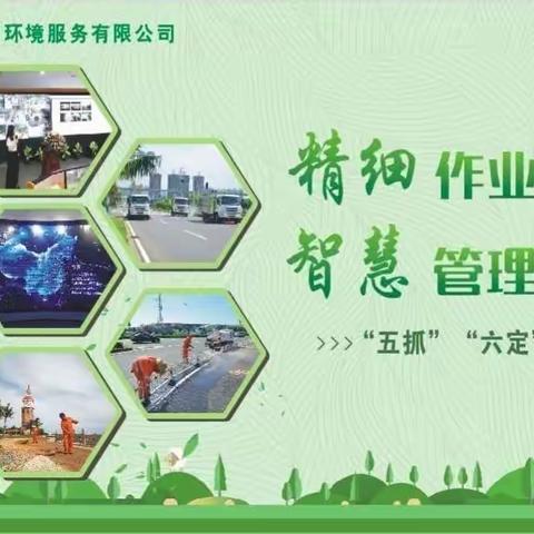品质督察部第二小组1月26日专项检查长滨路、市政府情况