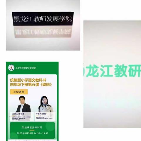 让语文成为孩子们全面发展的基石——国家级中小学名师线上教学示范课公益讲座心得体会