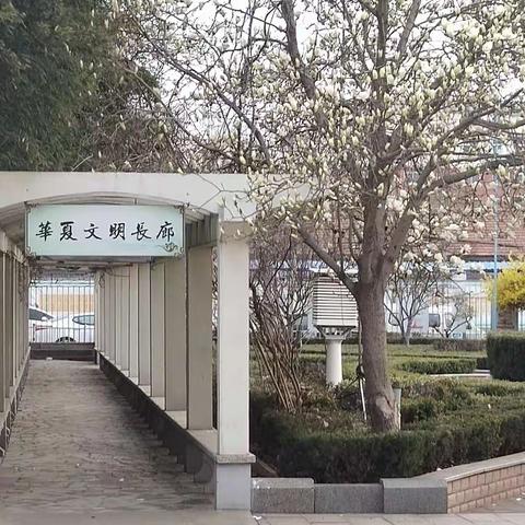 停课不停学，我们在行动。第二实验小学五年级三班韩乐然一周生活分享。