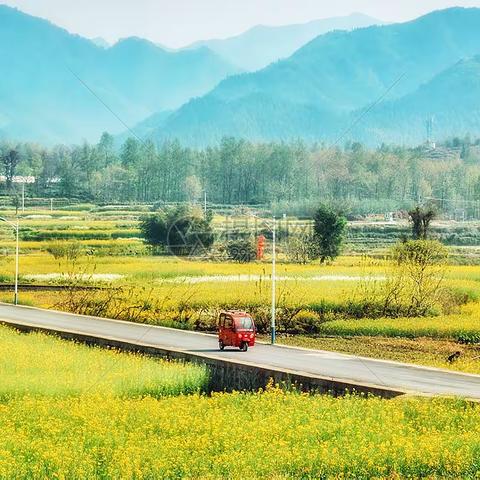 回锅肉年夜饭菜谱中的回锅肉在全国人民心中的地位是非常重要的