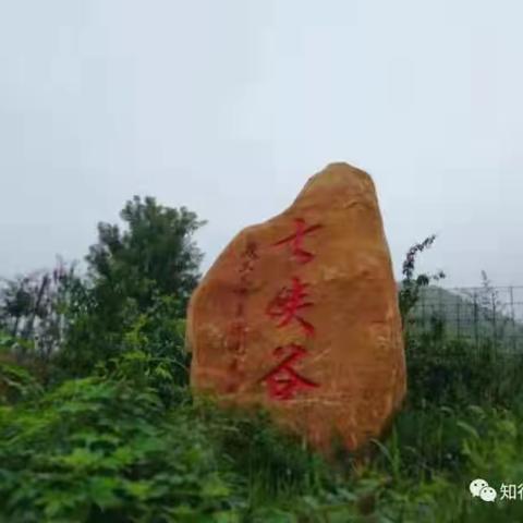 秋风飒爽，旅游季节，蒙小班小朋友营地秋游