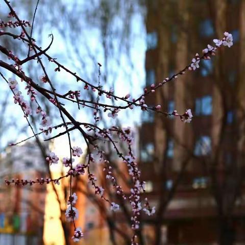 二十家子实验中学“缅怀先烈争做时代好少年”线上征文活动纪实