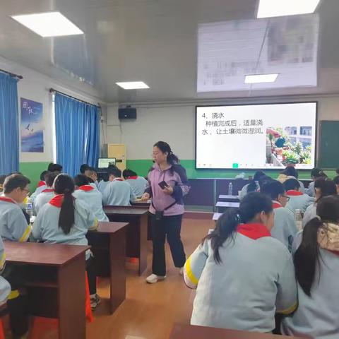 临漳县第三小学劳动教育技能课